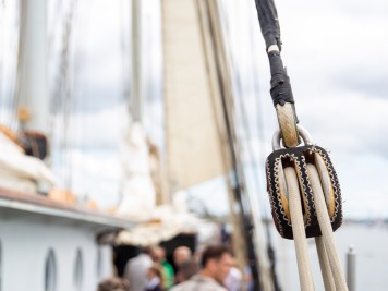 Sail 2025 Mogelijk -046